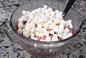 Freaking Bomb Cranberry Salad - Don't Holiday Without It! This salad is seriously amazing and is different from any other recipe I've seen out there...PlanForAwesome