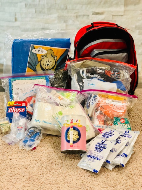 72-Hour Kits for Kids & Babies - Detailed, comprehensive, printable list of things to pack in a 72-hour kit for kids and/or babies. Printable Emergency Information Card to fill out and stick in your child's bag in case you are separated - PlanForAwesome