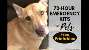 72-Hour Kits for Pets - FREE PRINTABLE Checklist - Don't forget your pets! This post has a comprehensive list of things to prepare and pack in a 72-hour emergency kit for your pets! PlanForAwesome