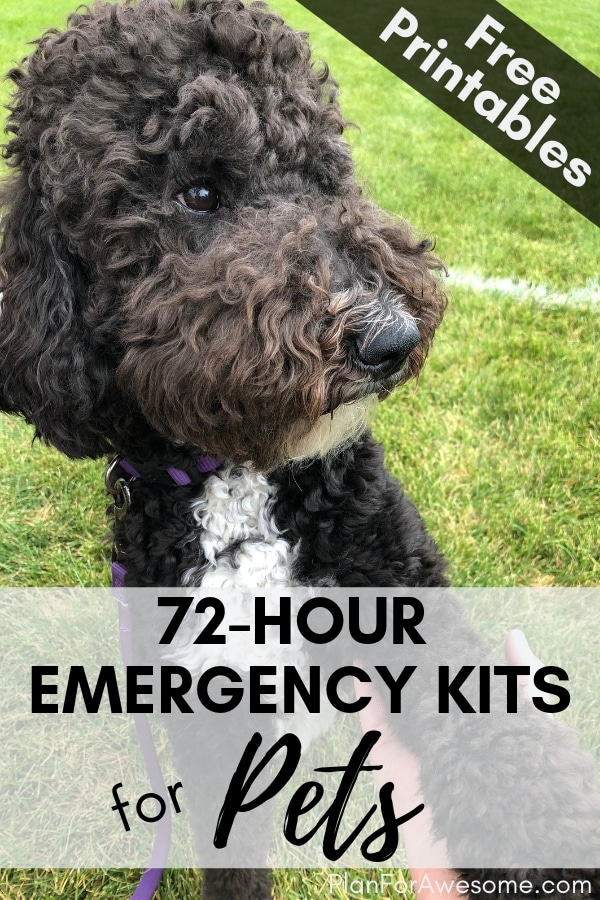 Go-Go-GO Pack 72-Hour Emergency Pet Kit –