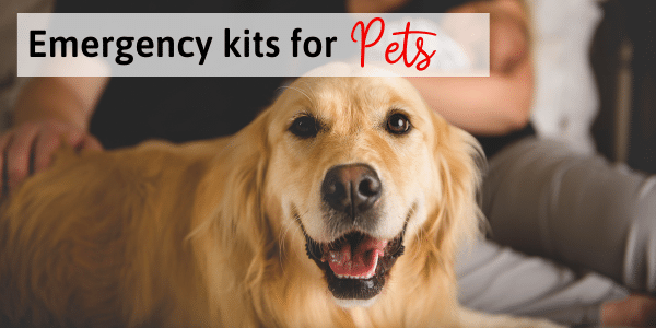 golden retriever and a headline for emergency kits for pets.