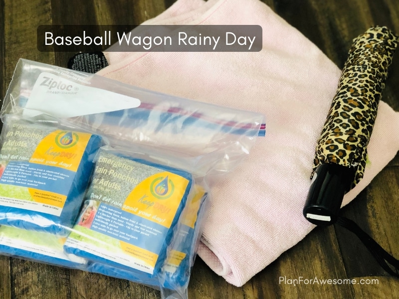 Baseball Wagon: The Ultimate List of Things to Bring to Little League Games - This is the BEST, most comprehensive list I have seen for what to bring to be prepared for baseball game days. This girl covers EVERYTHING, and even has a cute free printable checklist!