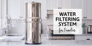 The Best Water Filtration Options for Families