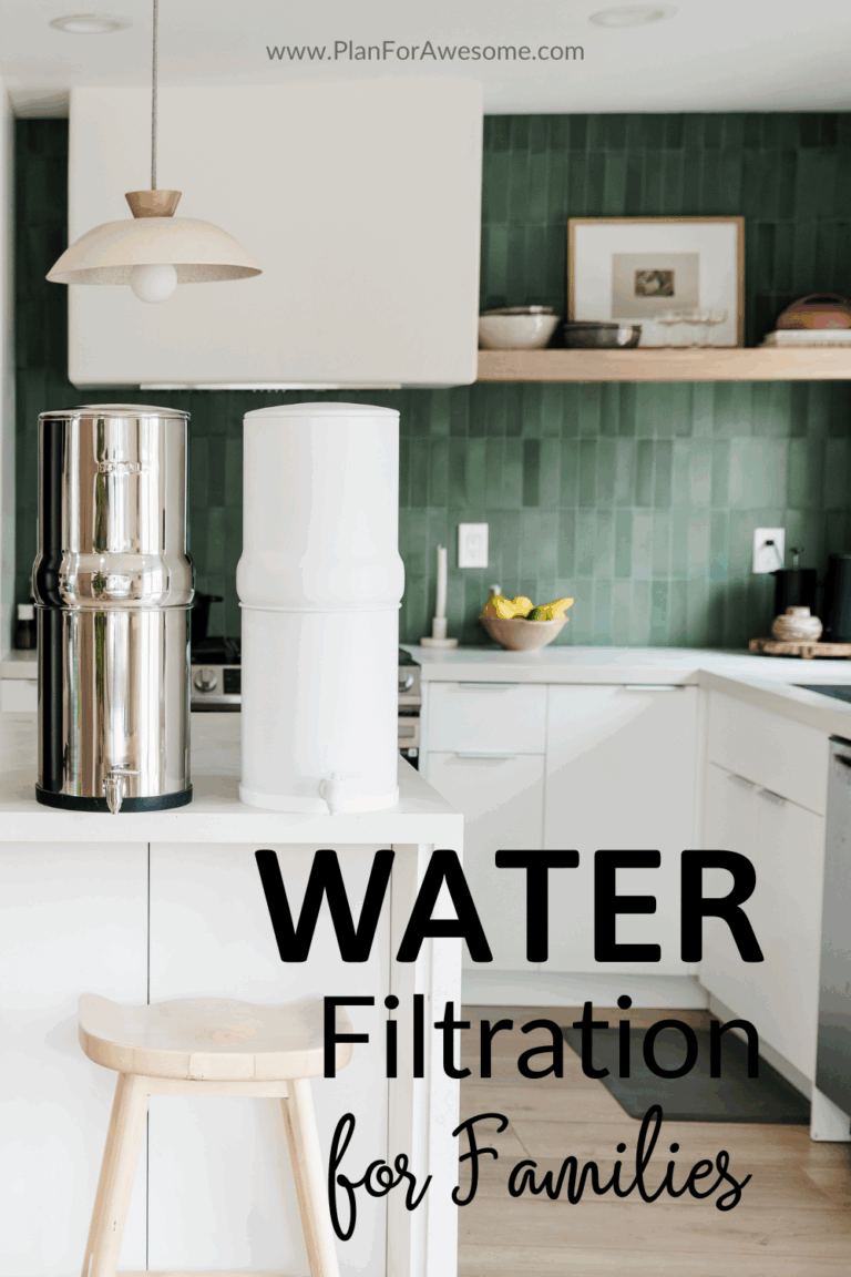 boroux water filtration system for families.