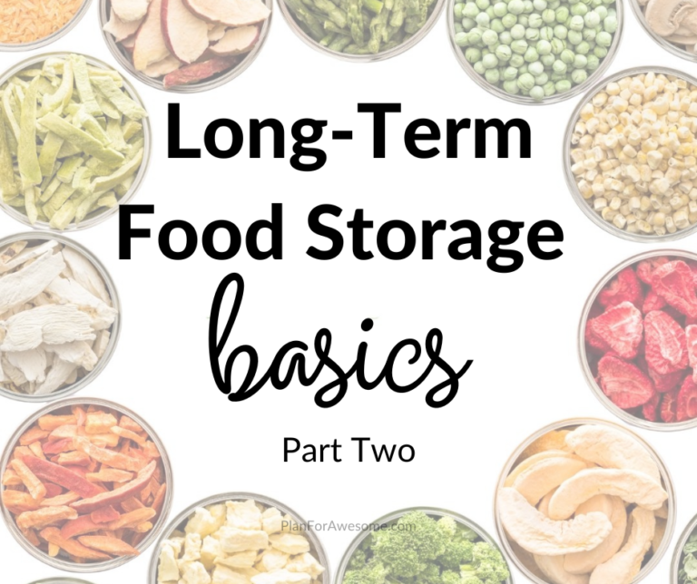 Food Storage Options for Families Which one is the Best? Plan for