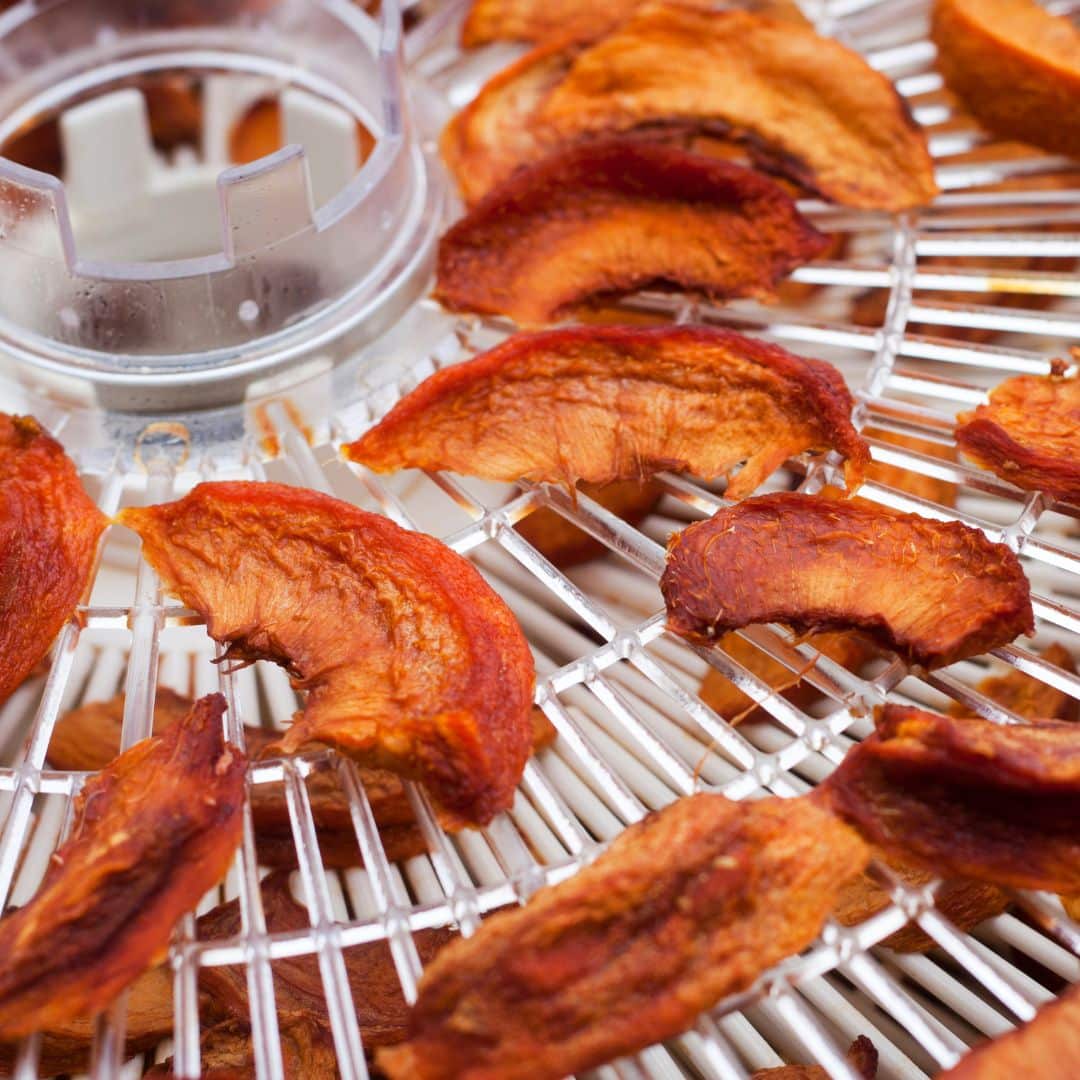 Long Term Food Storage Basics What you need to Know to Get Started