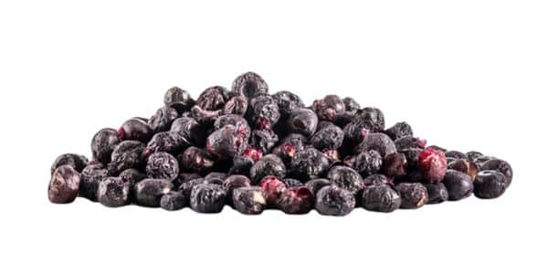 thrive life freeze dried blueberries