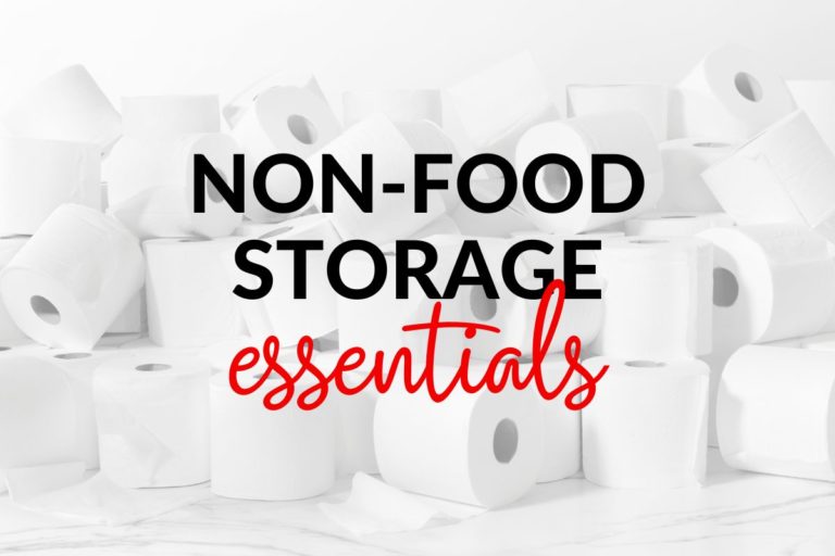 Nonfood storage essential items to consider for your family