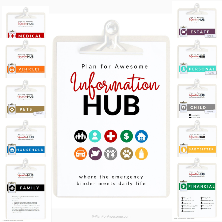 Plan for Awesome Information Hub title page on a clipboard with title pages surrounding it.