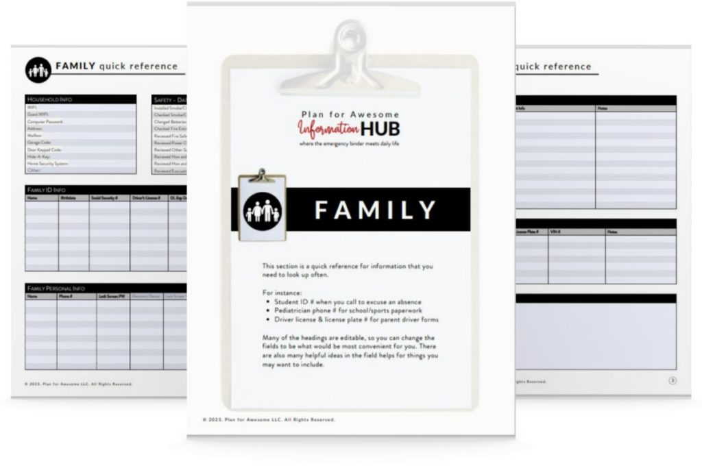 mockup of 3 pages from family summary section of information hub
