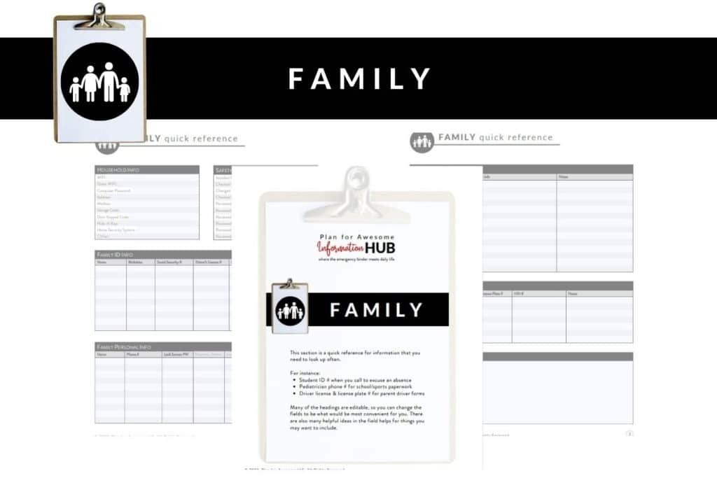 family information summary mockup of fillable pdf
