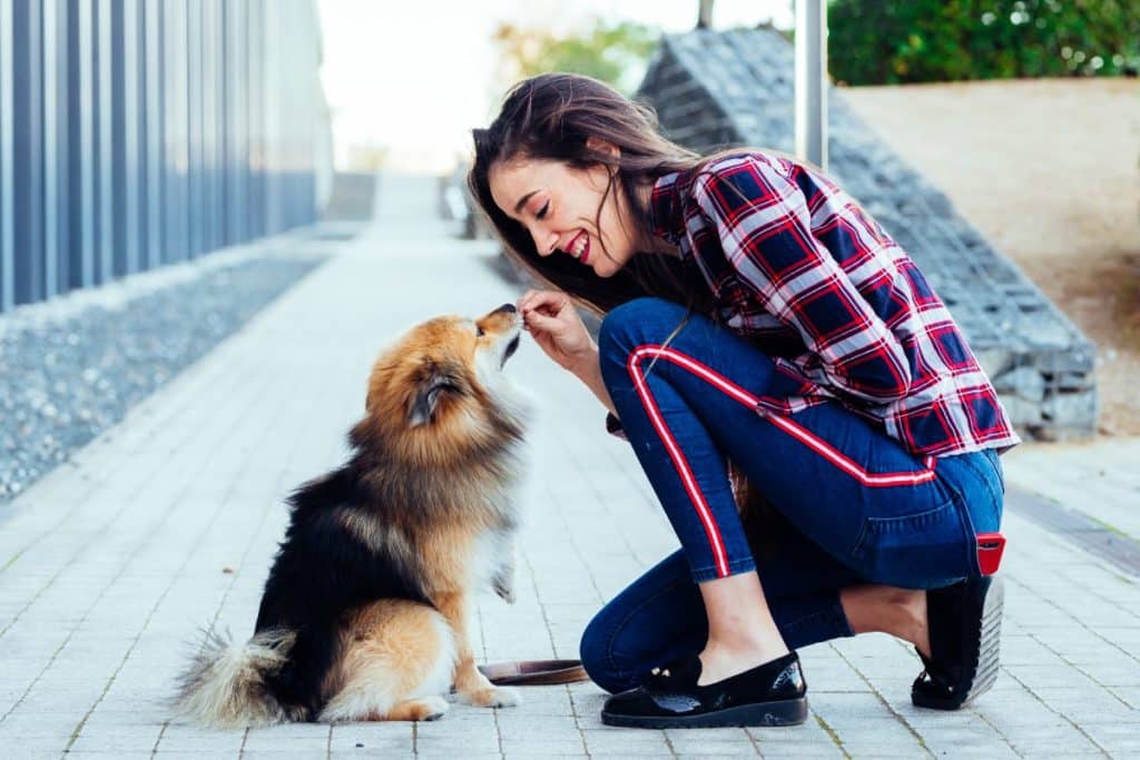 woman kneeling down to give her dog a treat