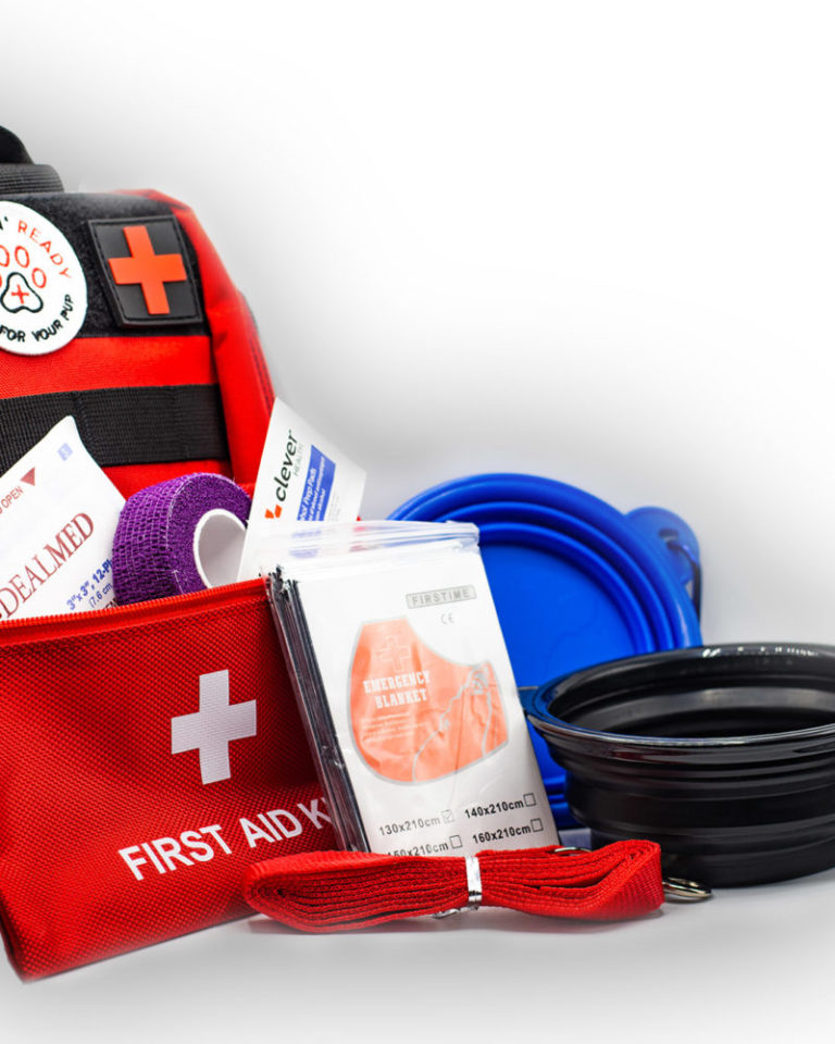 72-hour kit pack for dogs, collapsible water and food bowls, pet first aid kit, leash, etc.