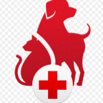 pet first aid app icon.