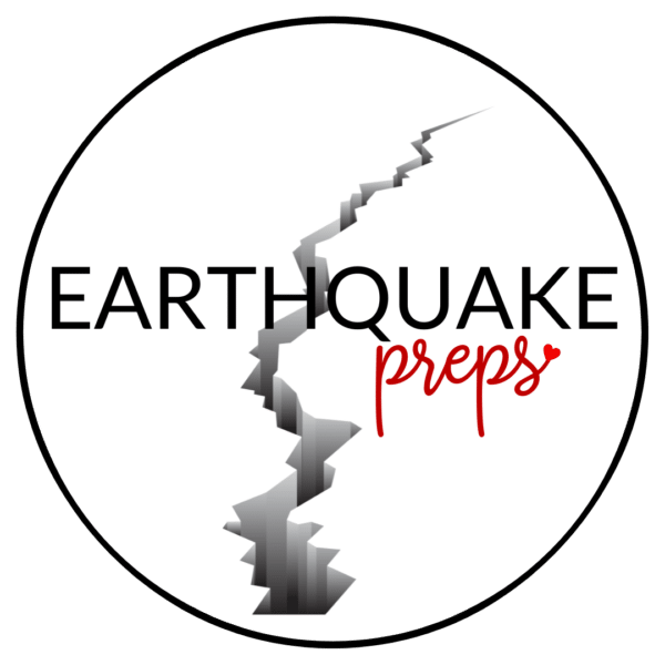 Earthquake Workshop Icon