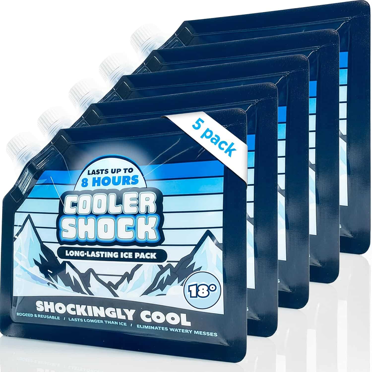 long lasting ice packs.
